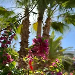 Apartment In Sharm El Sheik