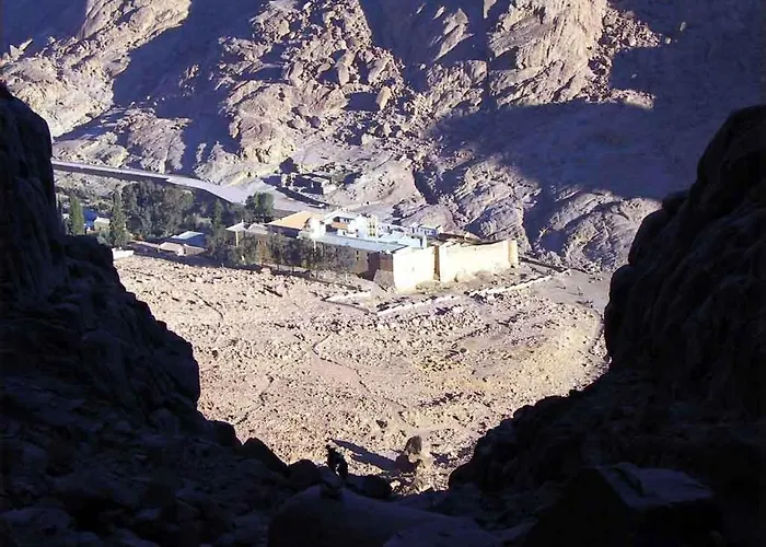 Fox Camp