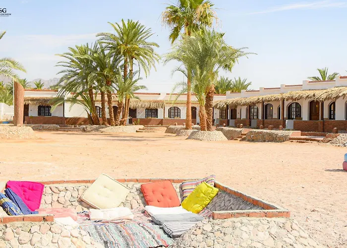 Palm Valley Camp