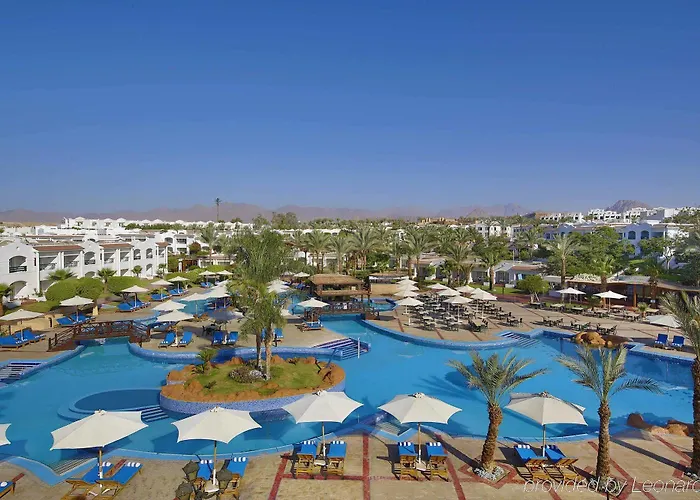 Jaz Sharm Dreams
