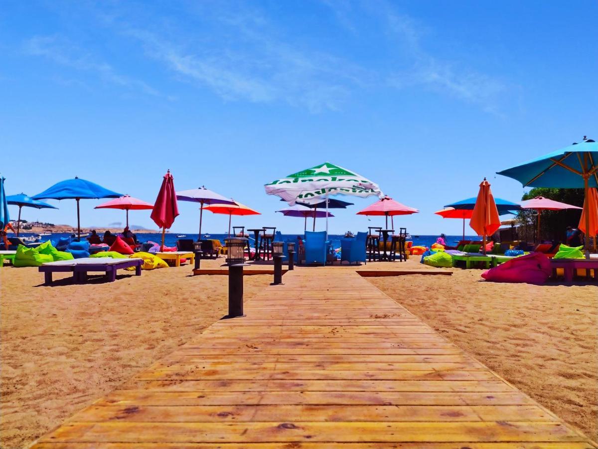 Naama Blue 3* Sharm el-Sheikh