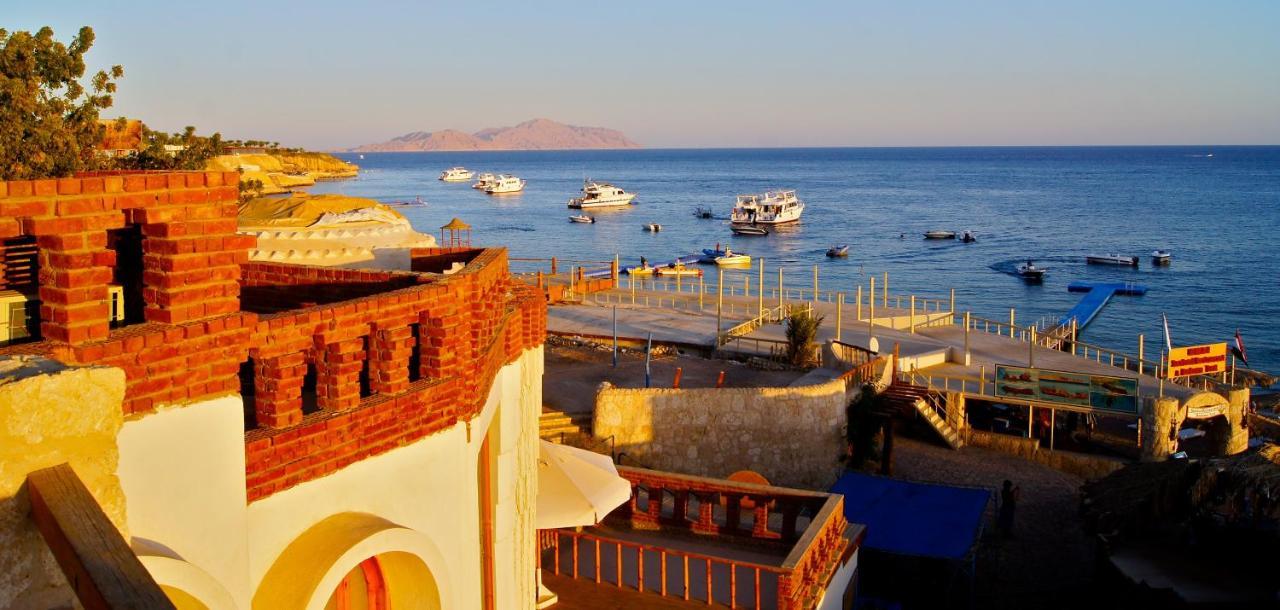 Umbi Sharks Bay Diving Village 3* Sharm el-Sheikh