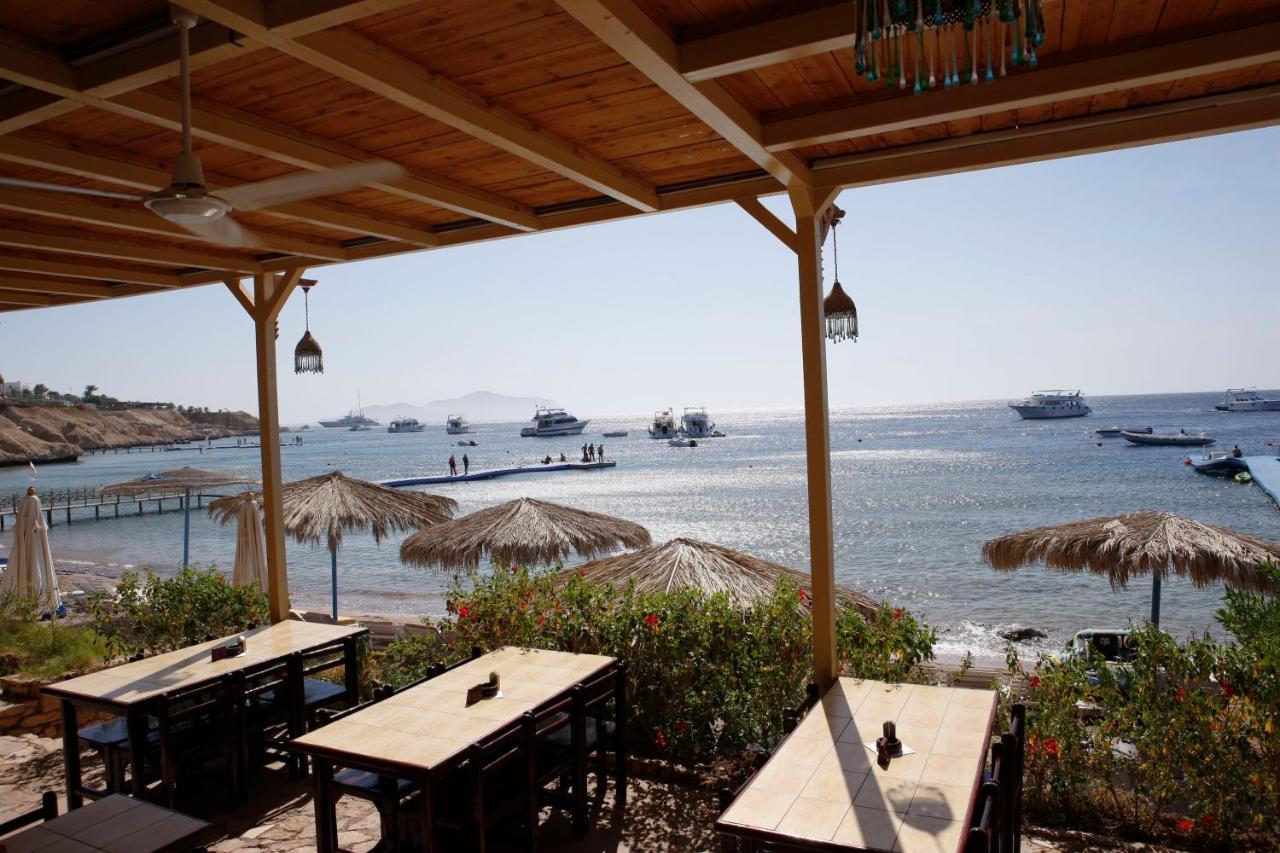 Umbi Sharks Bay Diving Village Resort