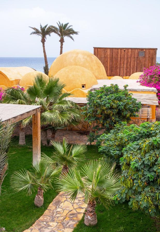 Inn Dive Urge Dahab