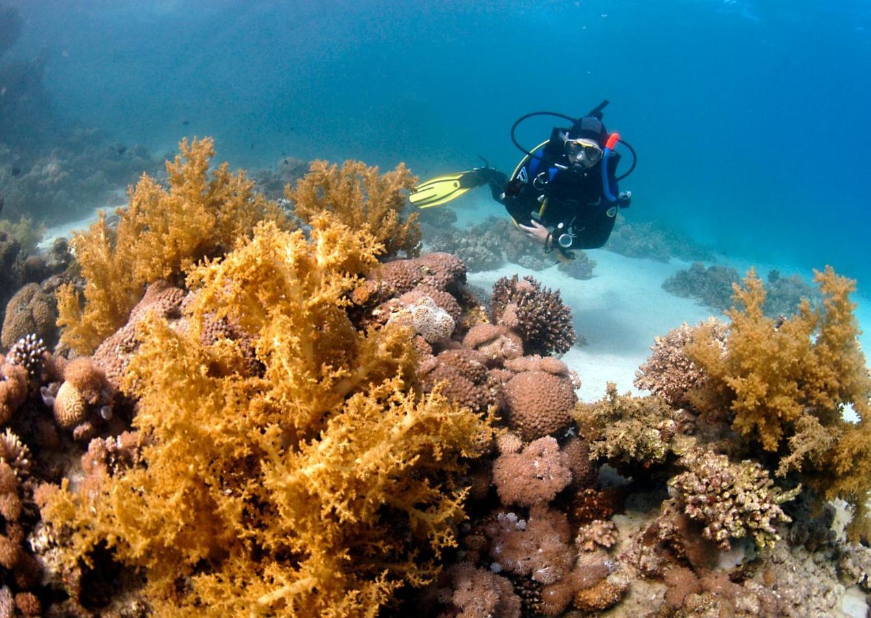 Inn Dive Urge
