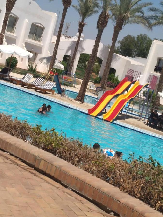 Luna 3* Sharm el-Sheikh