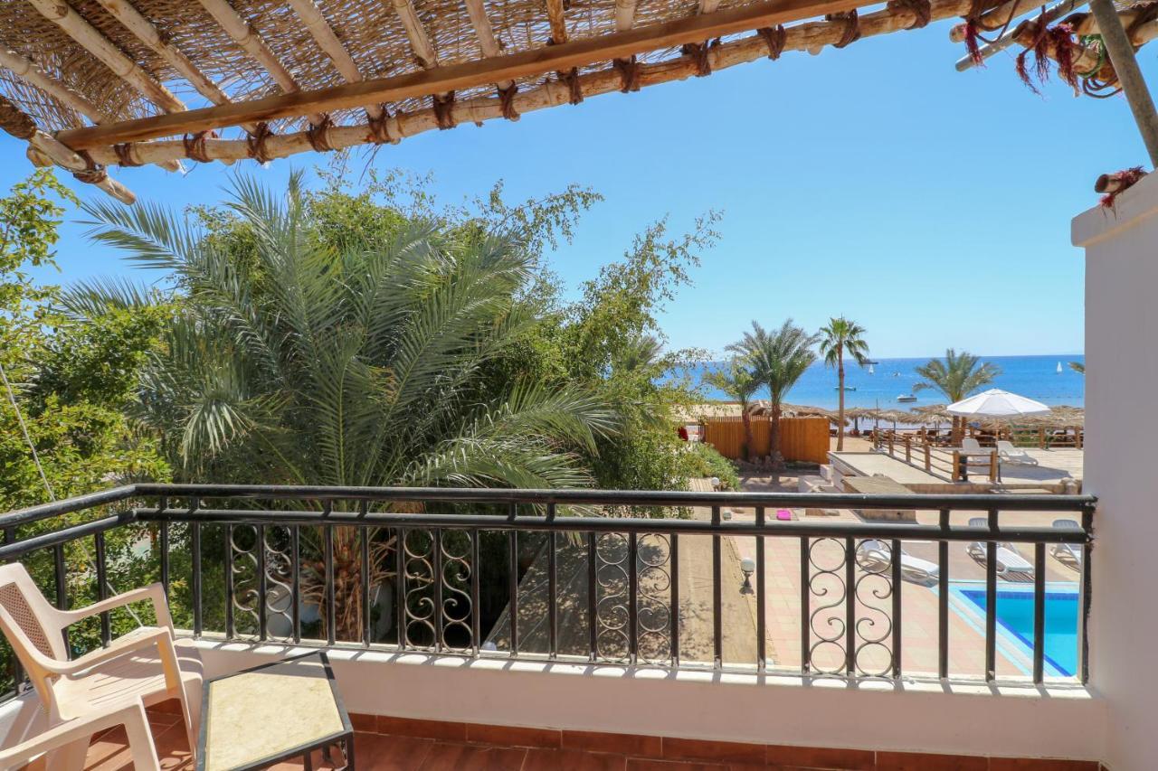 Panda Dahab
