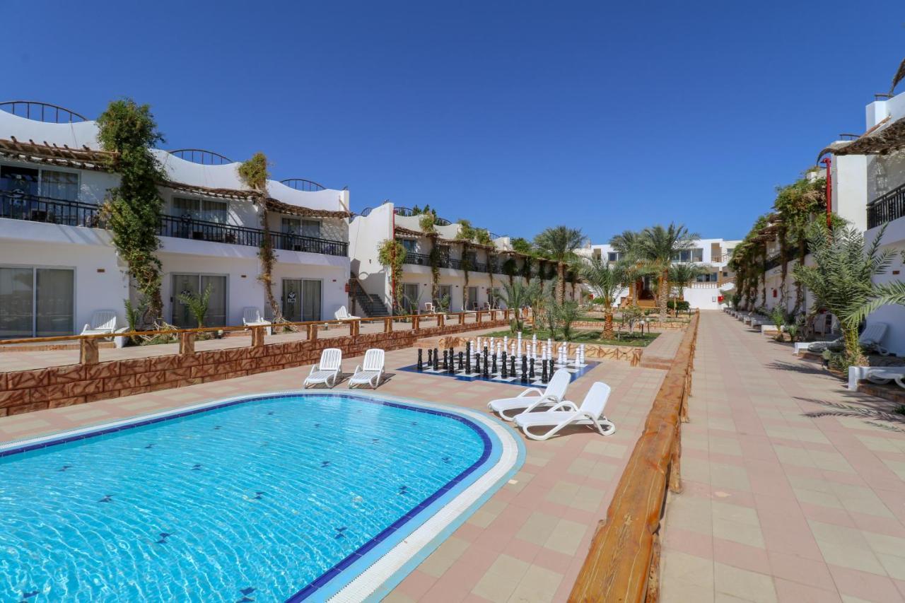 Panda Hotel 3*