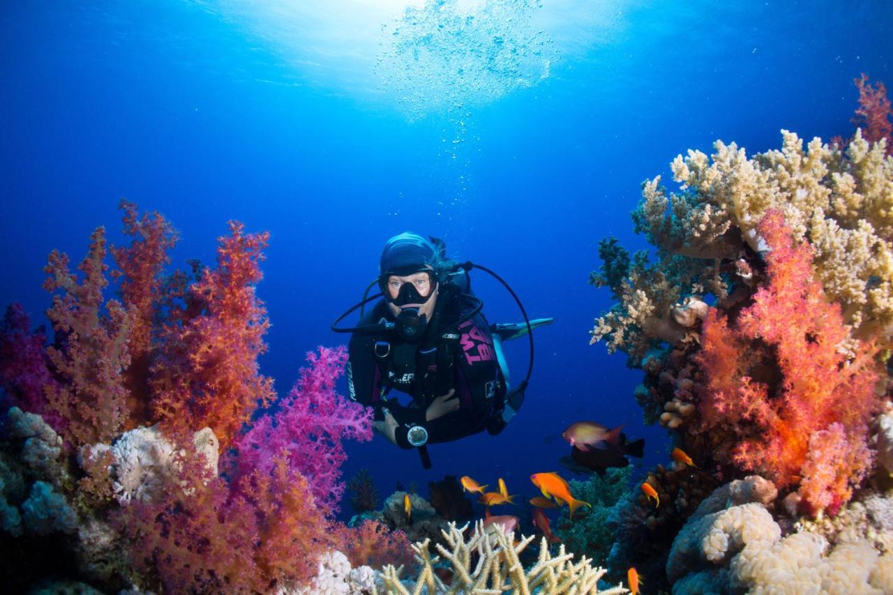 Umbi Sharks Bay Diving Village 3* Sharm el-Sheikh