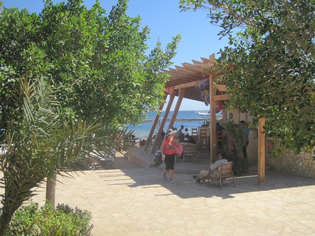 Umbi Sharks Bay Diving Village Resort Sharm el-Sheikh