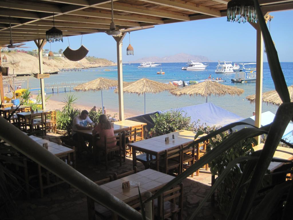 Umbi Sharks Bay Diving Village Sharm el-Sheikh