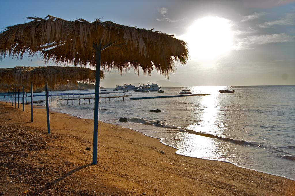 Umbi Sharks Bay Diving Village Resort Sharm el-Sheikh