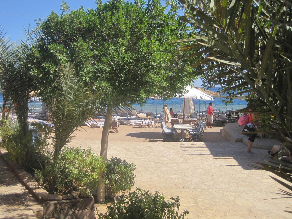 Umbi Sharks Bay Diving Village Sharm el-Sheikh