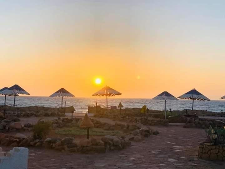 Lagona Village 2*