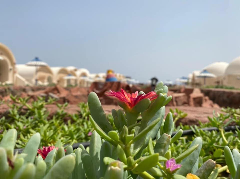 Lagona Village Resort Dahab
