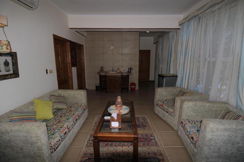Acacia Dahab