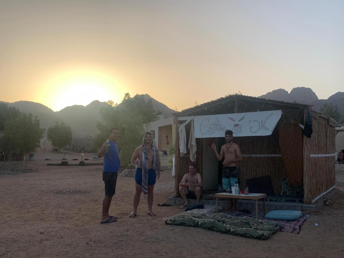 Alwaha Camp Campsite Nuweiba
