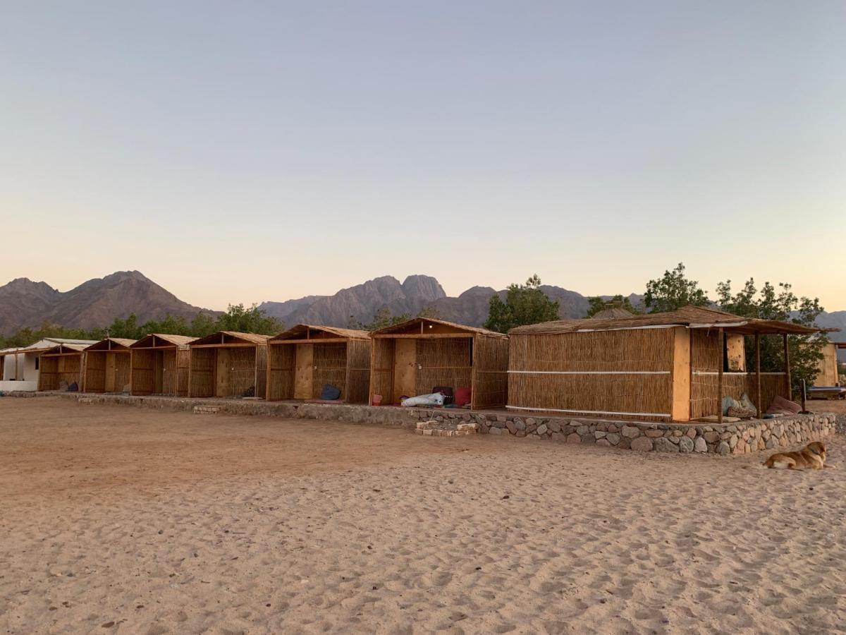 Alwaha Camp Campsite