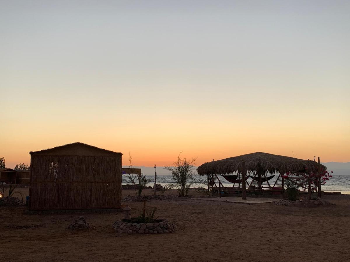 Alwaha Camp Campsite *