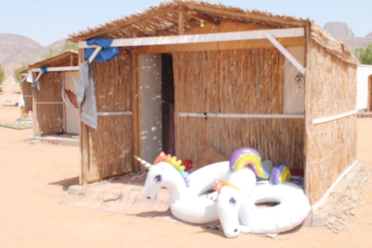 Campsite Alwaha Camp *
