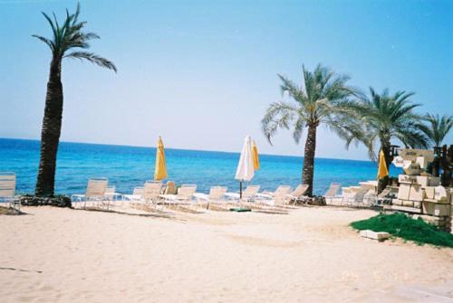 Tobya Boutique Otel 4*