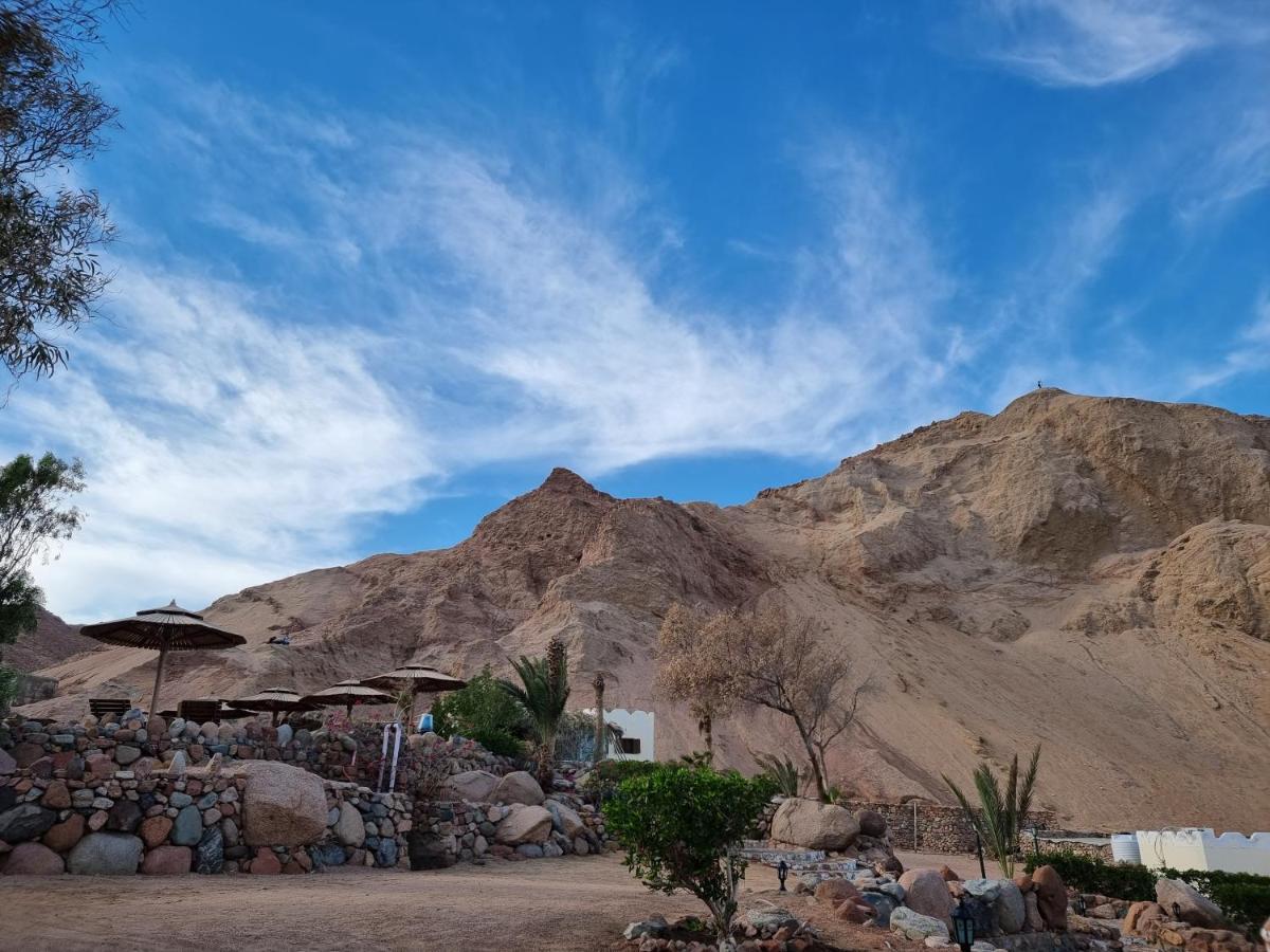 The Bedouin Moon