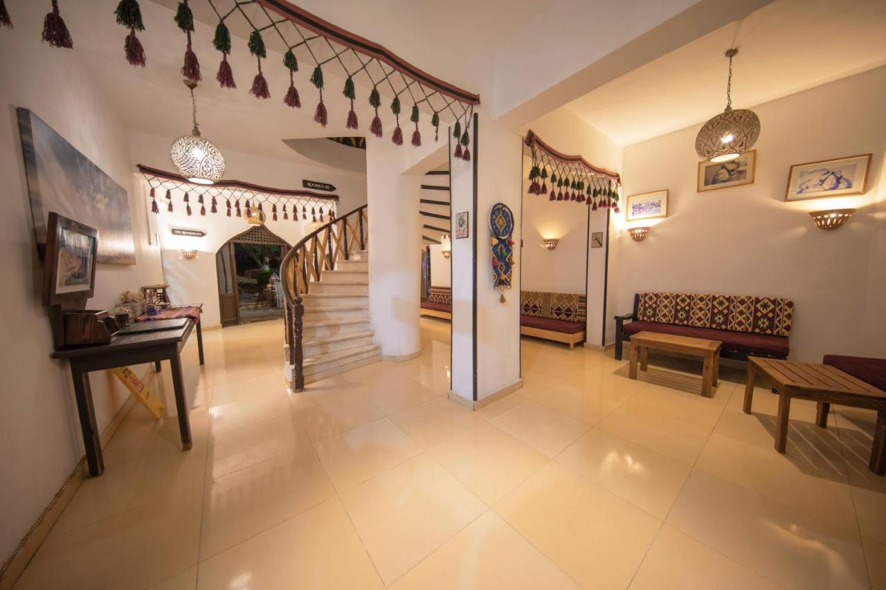 The Bedouin Moon 3* Dahab