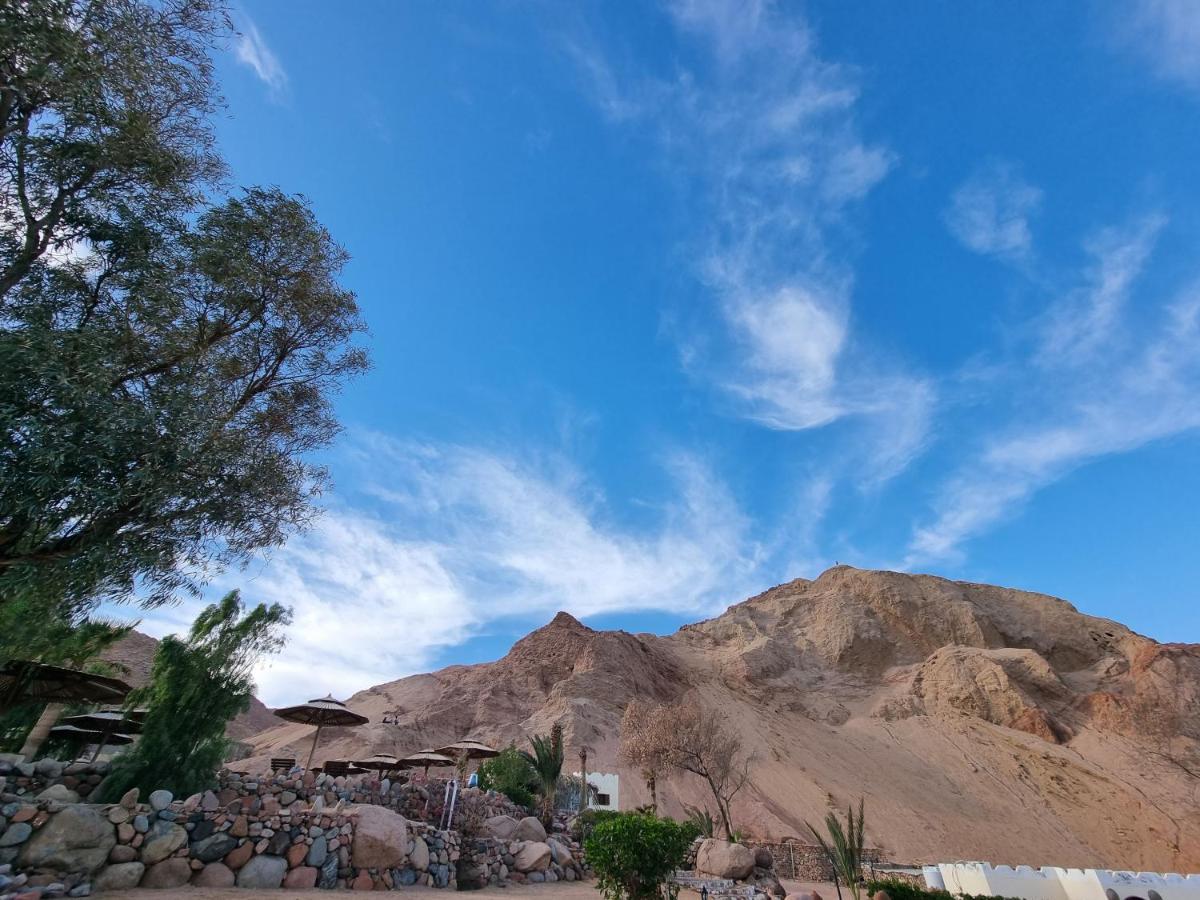 The Bedouin Moon 3*