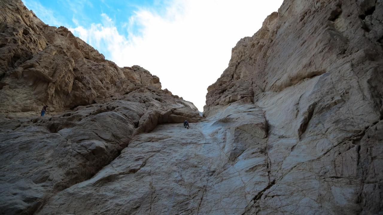 The Bedouin Moon 3* Dahab
