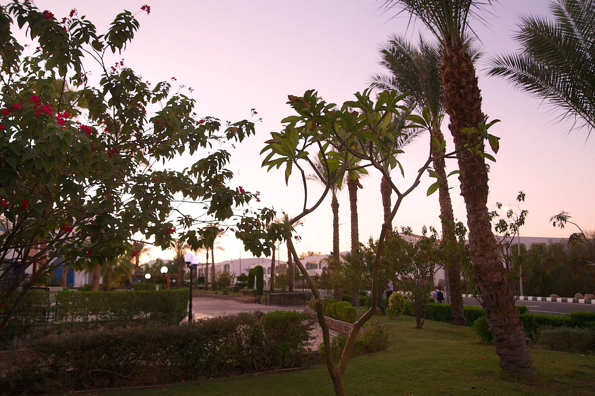 Resort Naama Blue