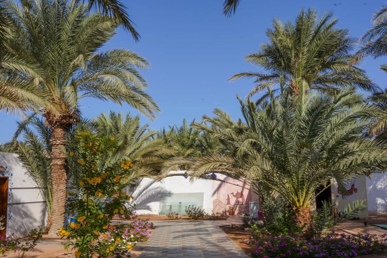 Miramar Camp Dahab