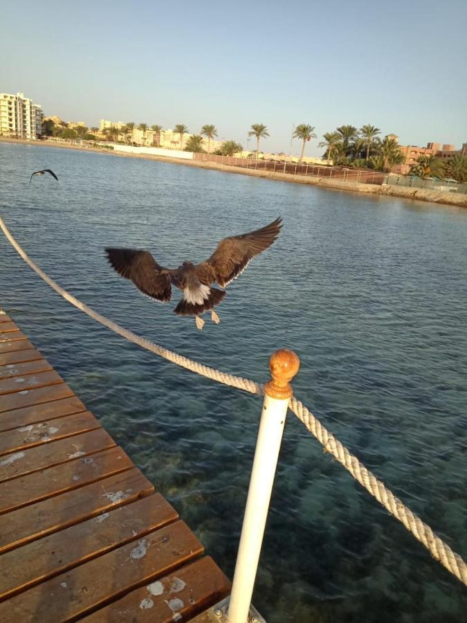 Scandic * Hurghada