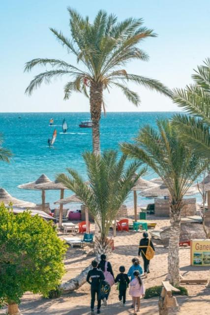 Ganet Sinai