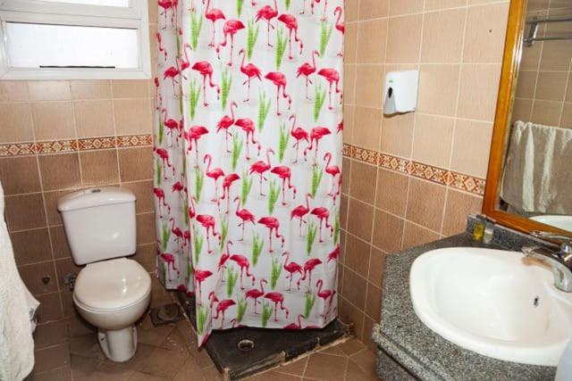 Apartment Sharm * Sharm el-Sheikh