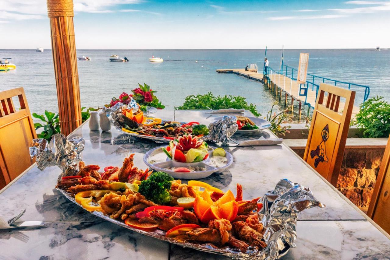 Umbi Sharks Bay Diving Village Sharm el-Sheikh