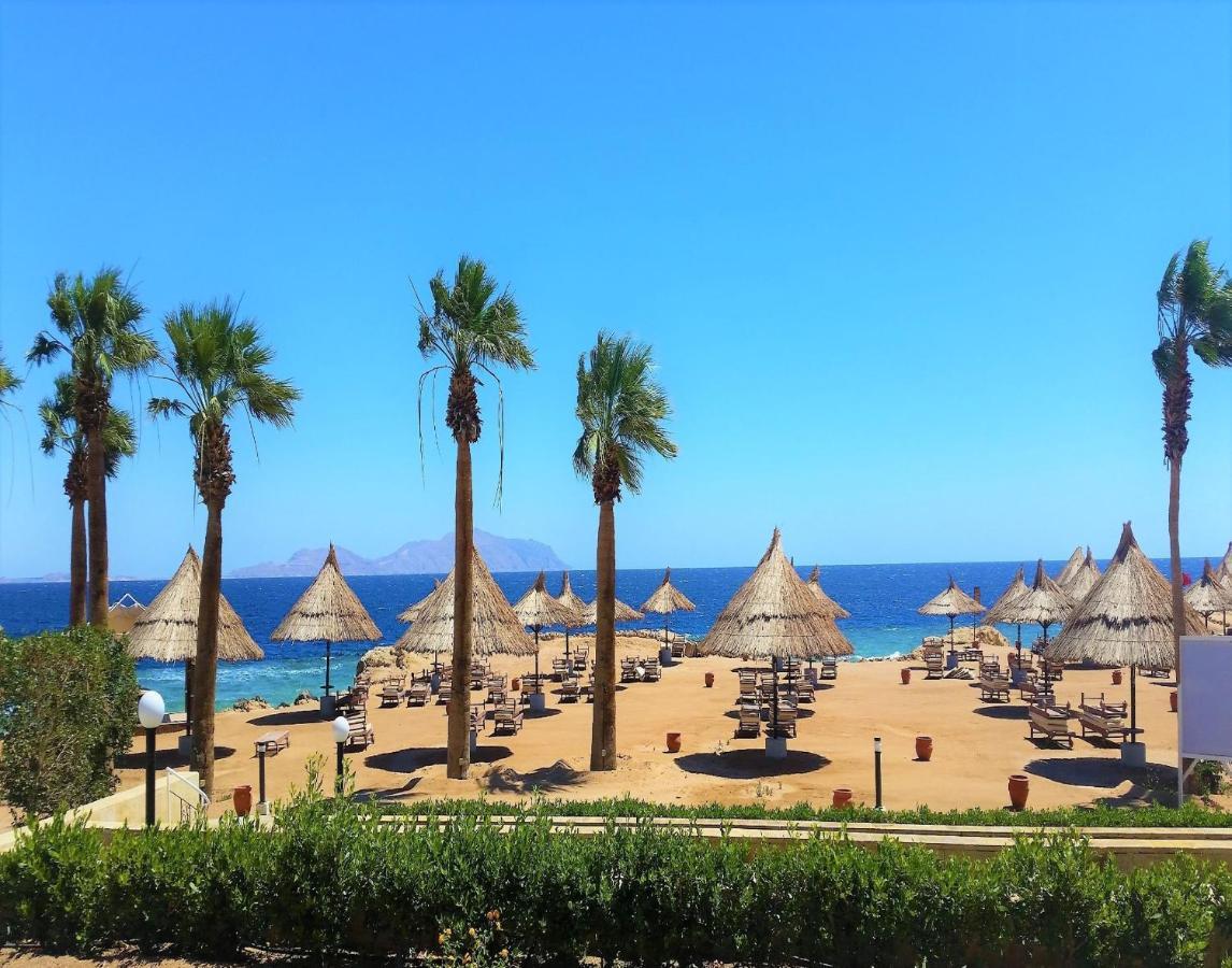 Resort Sheraton Hotel, Resort, & Şarm El-Şeyh