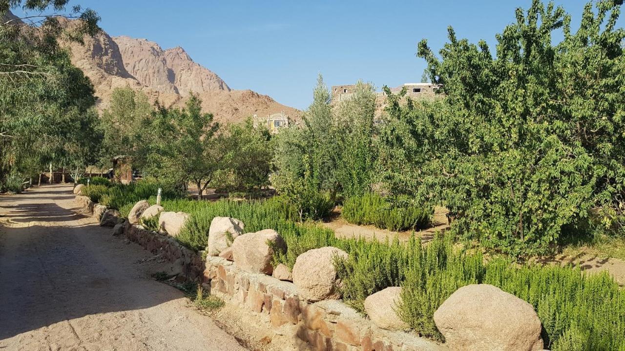 Fox Camp Saint Catherine
