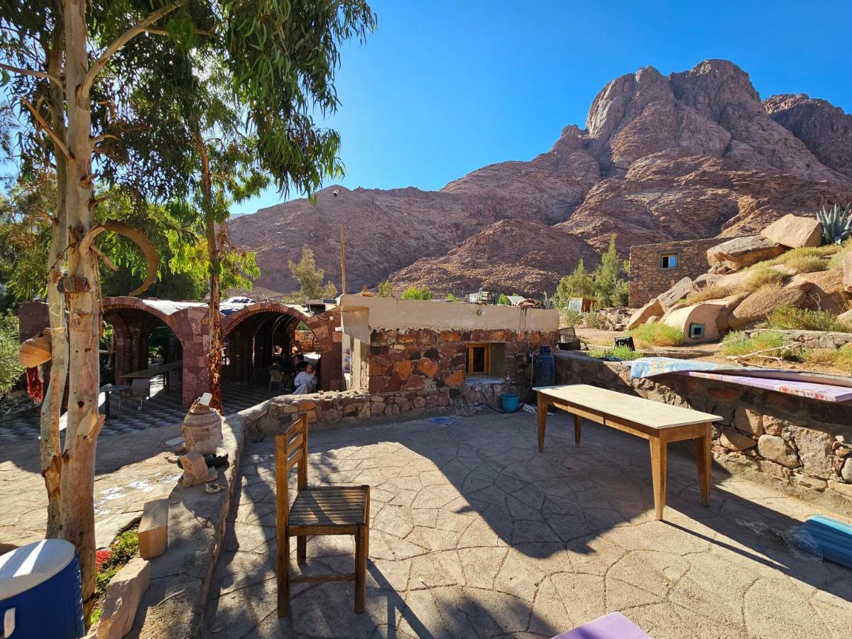 Fox Camp Saint Catherine