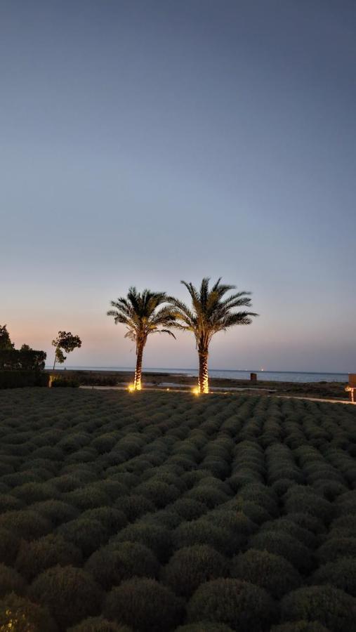 Apartment El Gouna Mangroovy Sea View - Kitesurfing