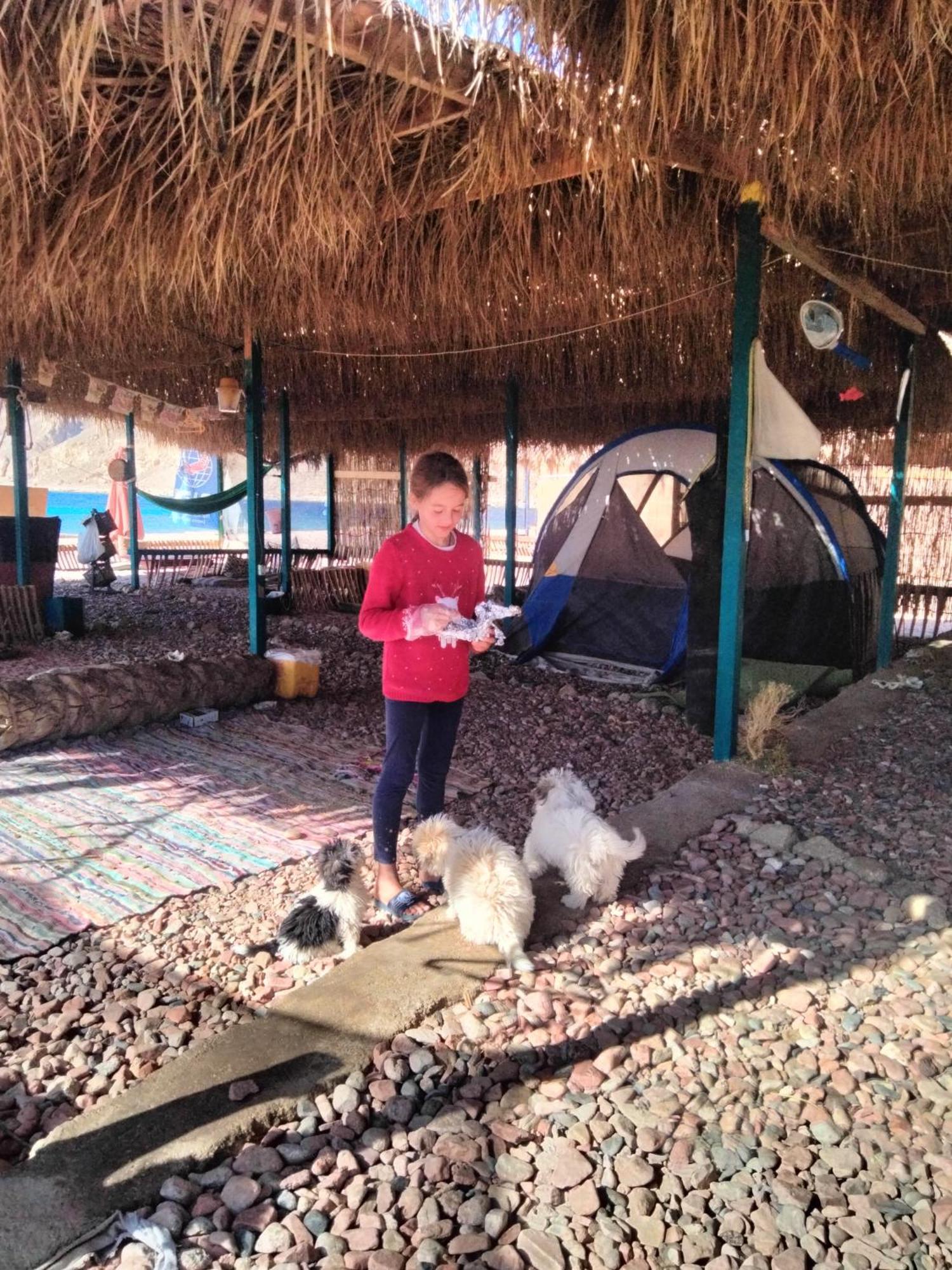 Campsite Egyptian Flag Camp