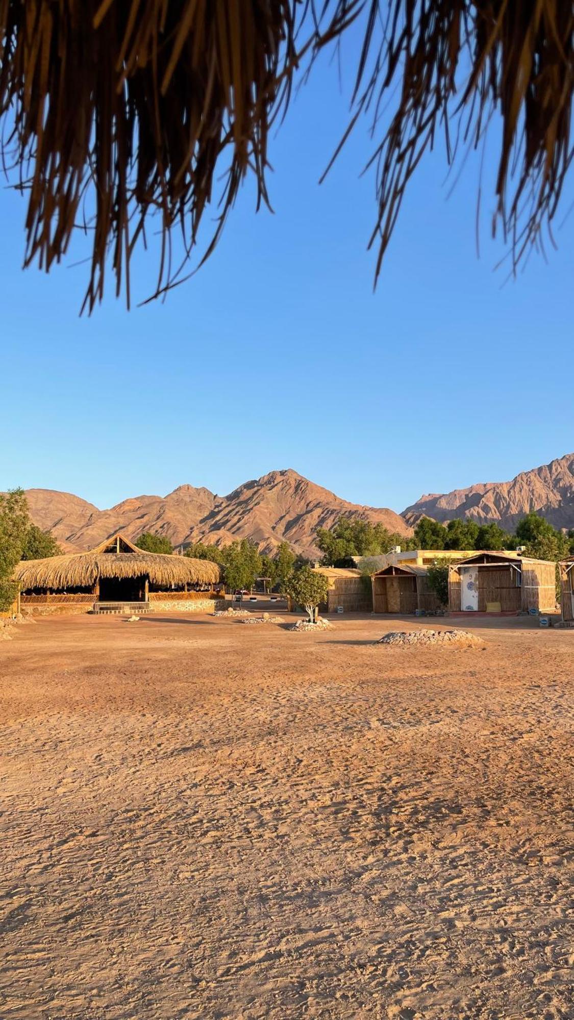 Alwaha Camp Nuweiba