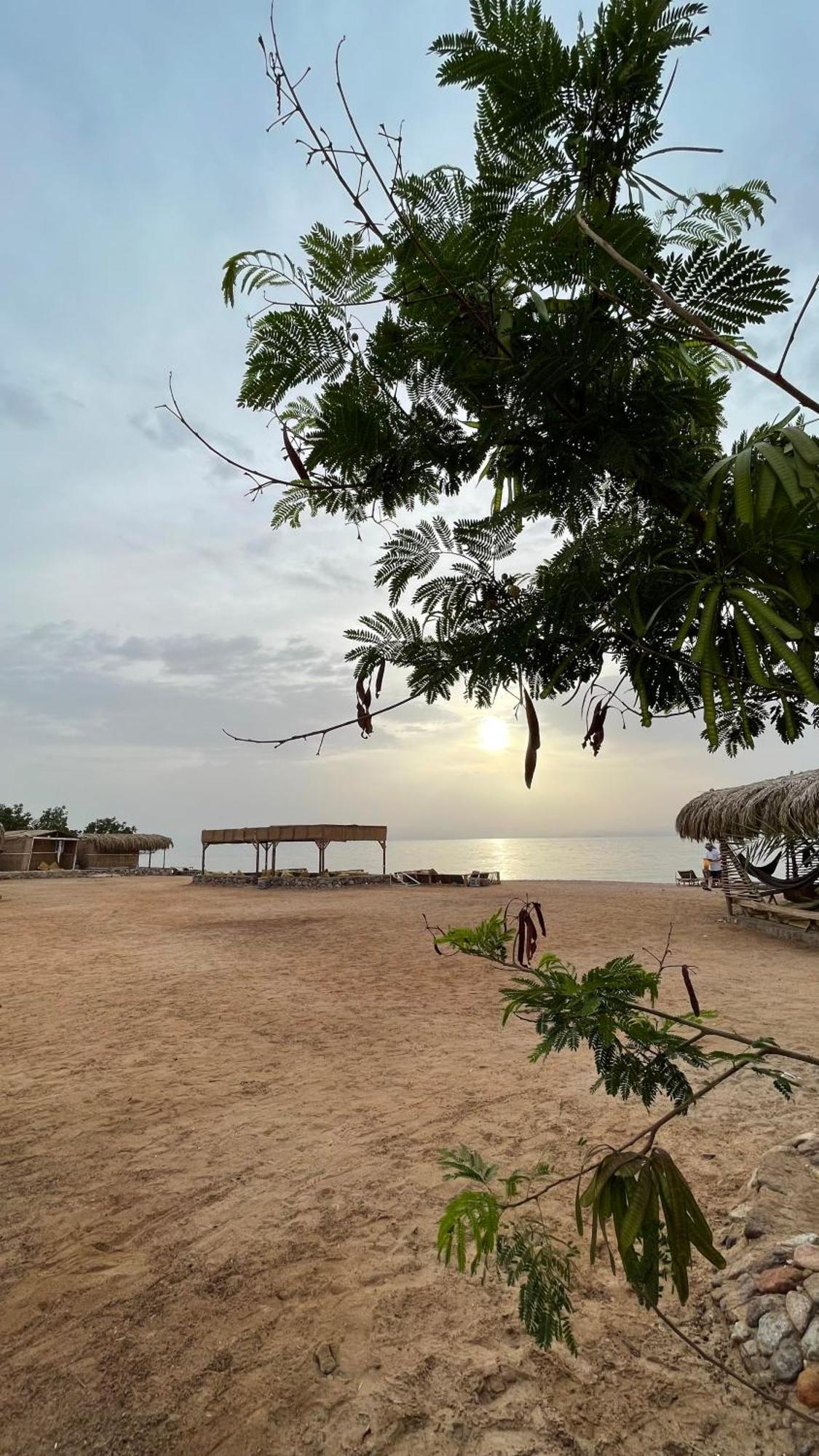 Alwaha Camp * Nuweiba