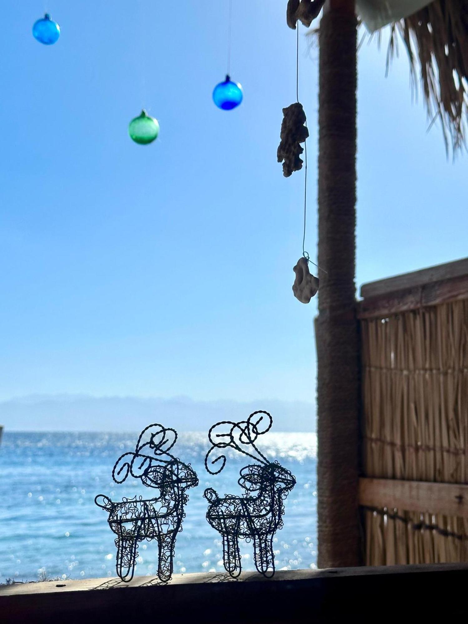 Alwaha Camp Nuweiba