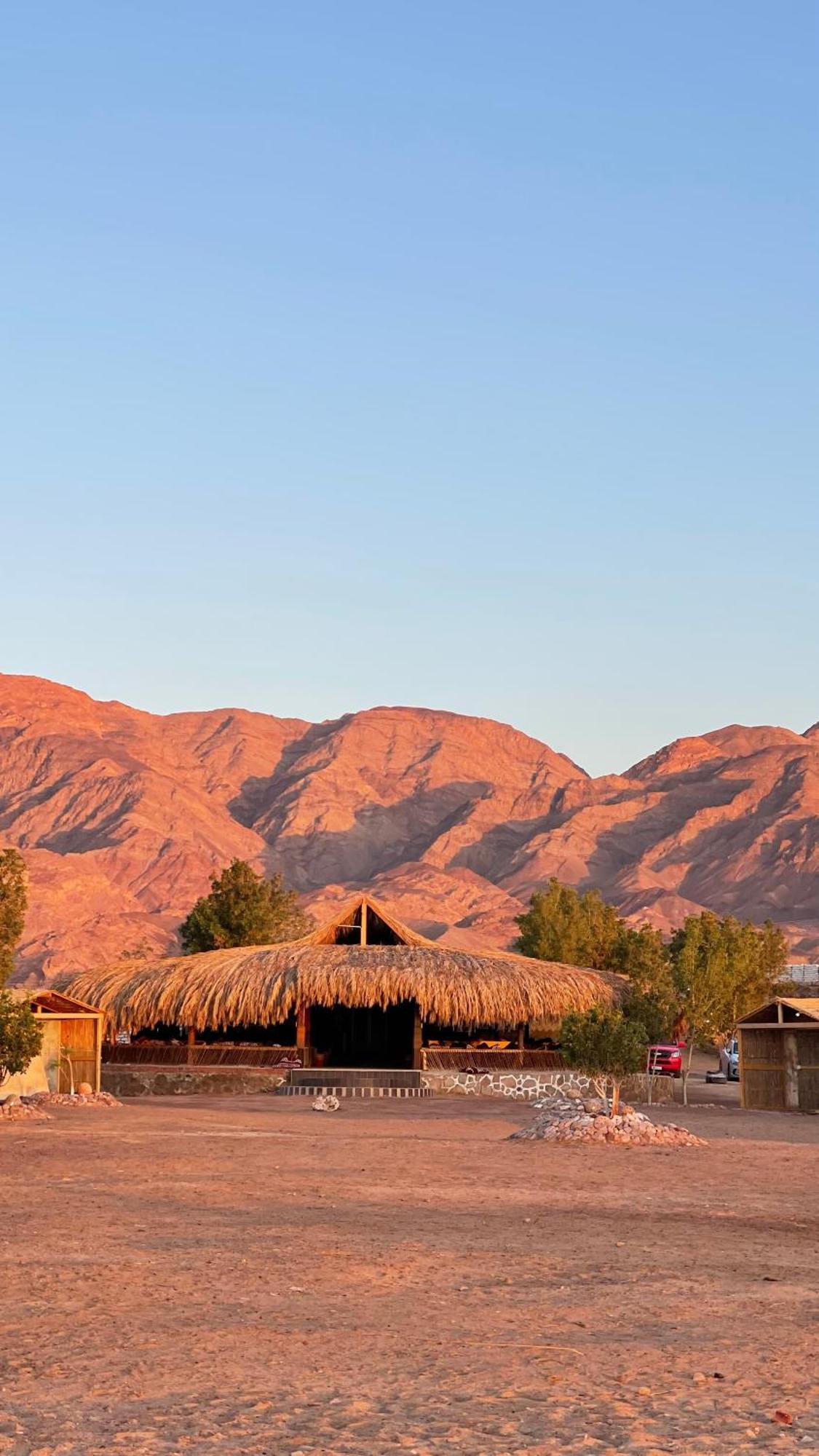 Alwaha Camp Nuweiba