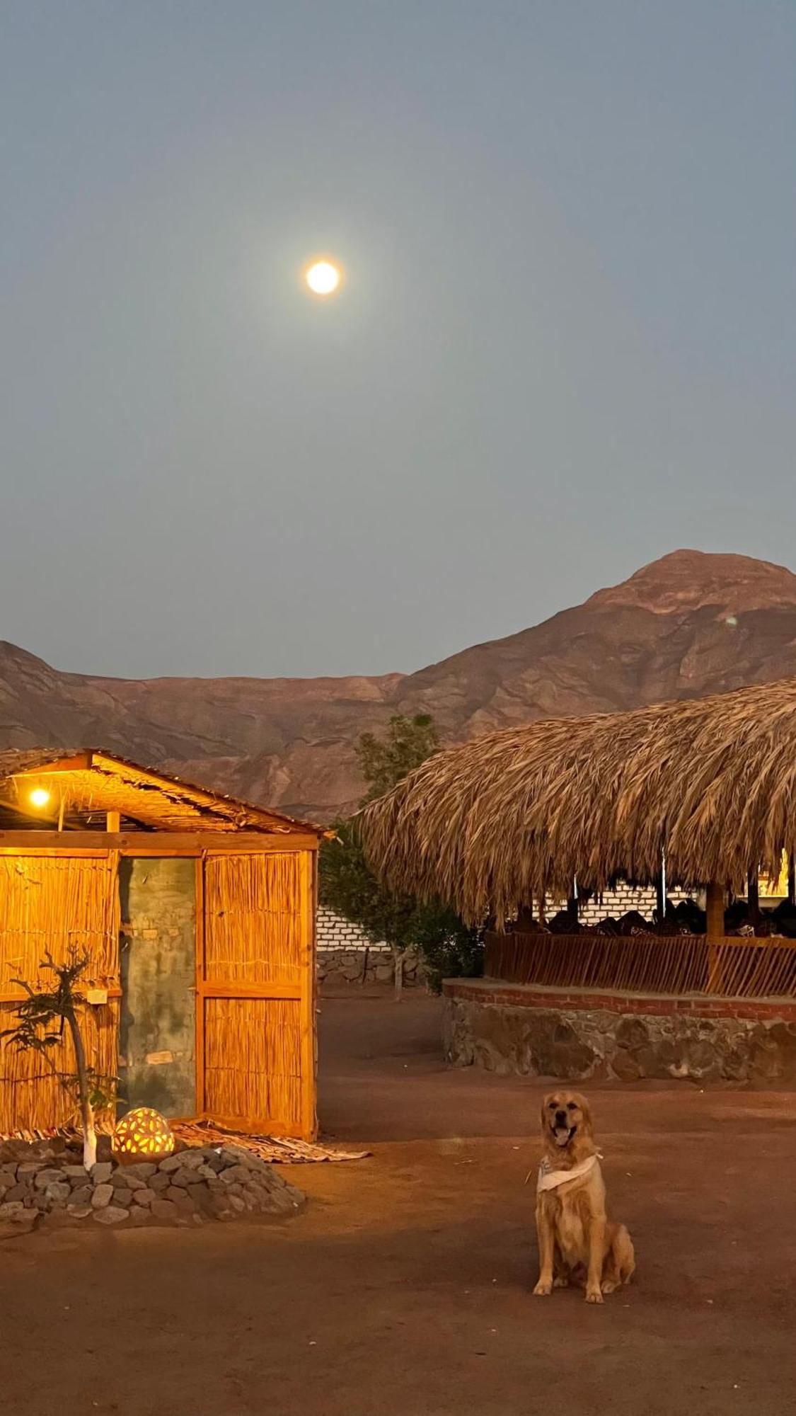 Campsite Alwaha Camp Nuweiba