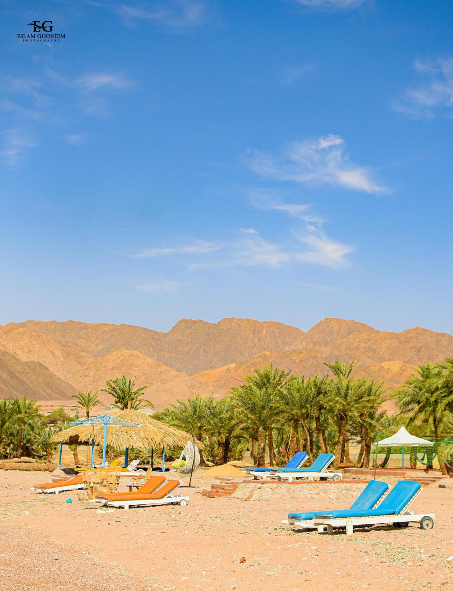 Palm Valley Camp Campsite *