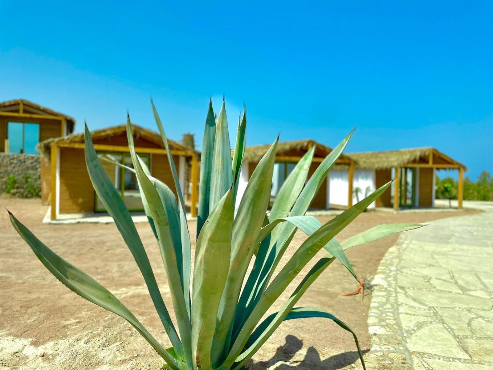 Hotel Ananda Camp *