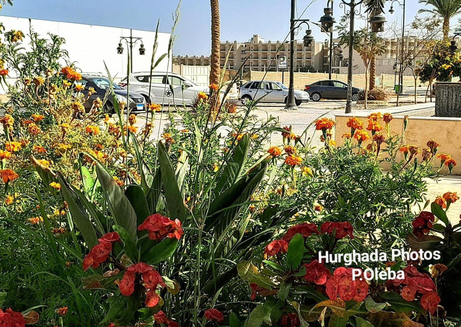 Apartamento Princess Hurghada