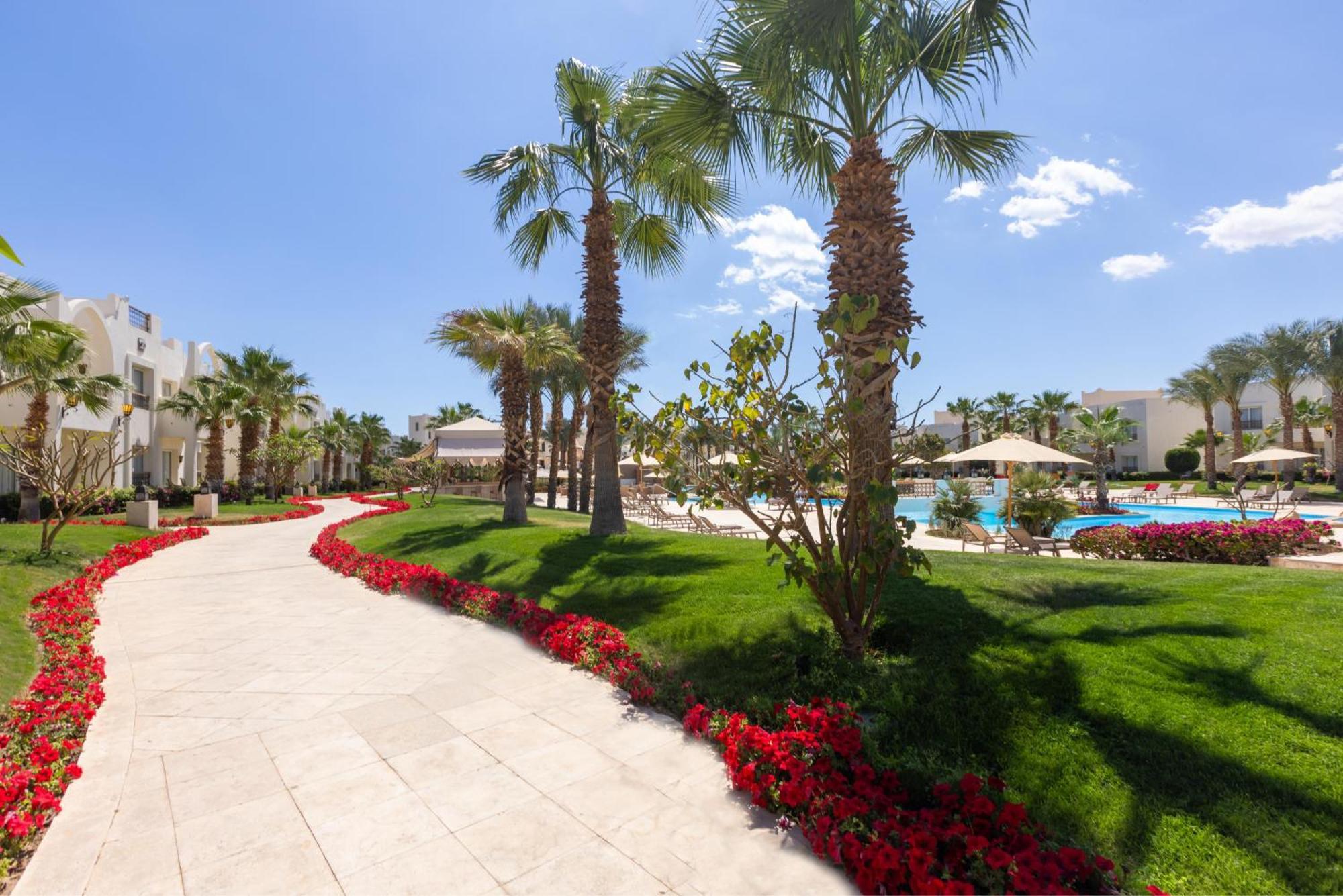 Resort Swissotel Sheikh 5*
