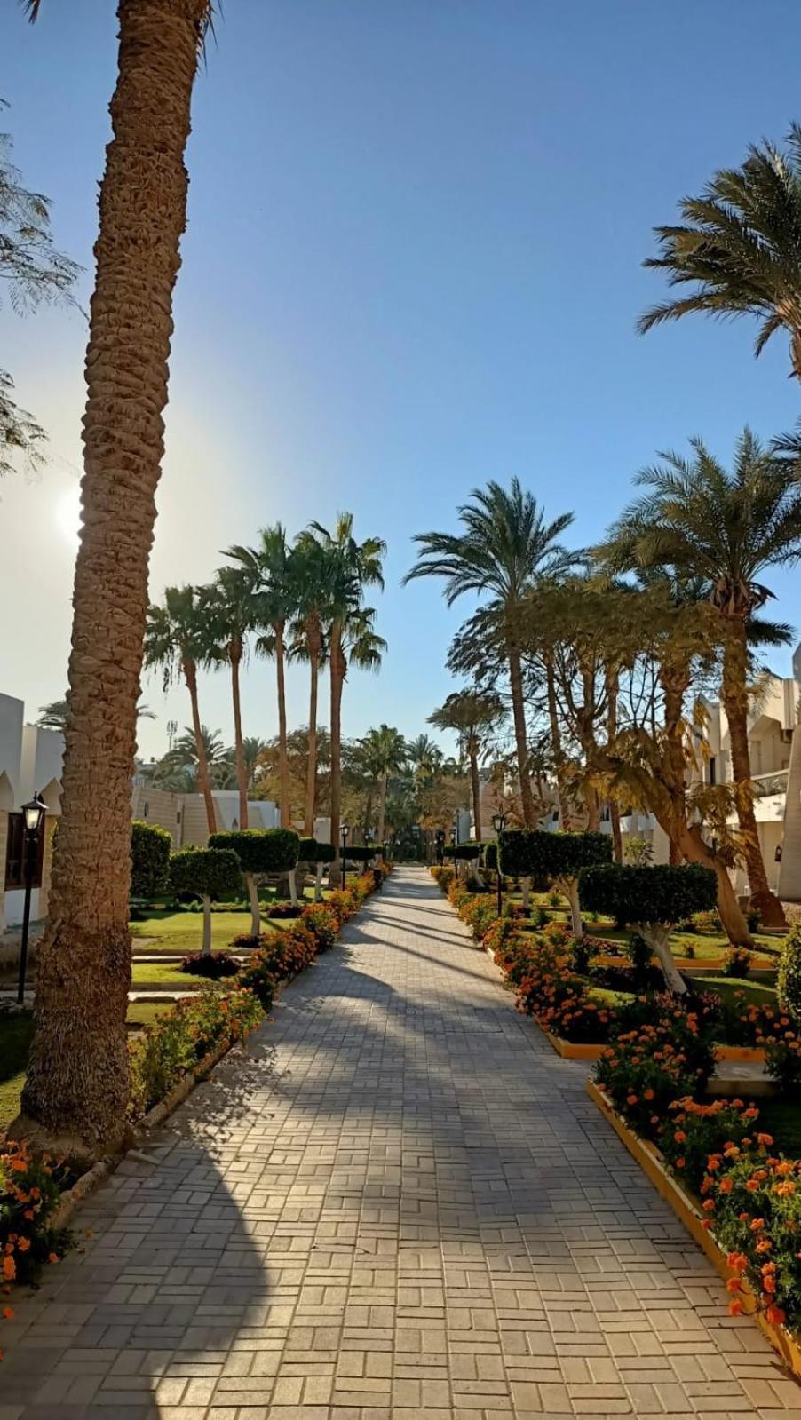 Regina And Aqua Park Resort Hurghada